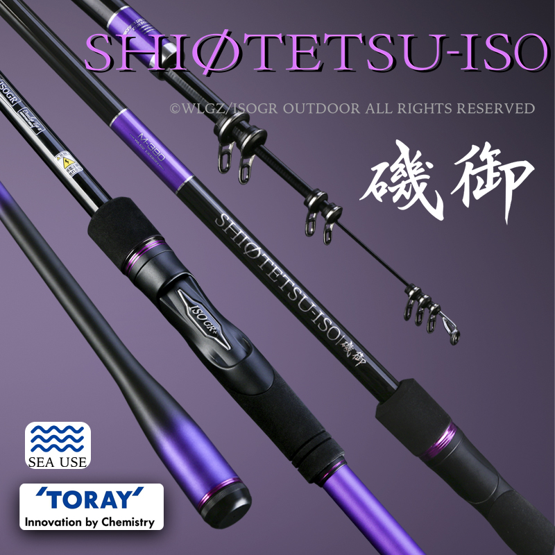 Leydun ISO Fishing Rod Toray 4 - огляд і ціна Fishing Rod Surf